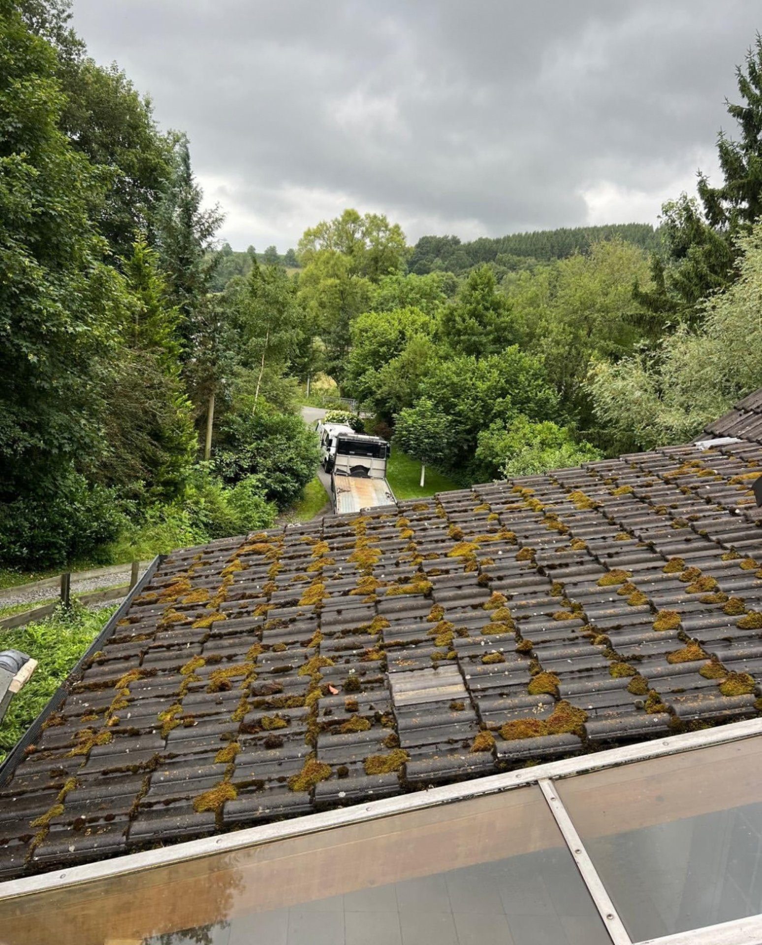 Dachreinigung vorher