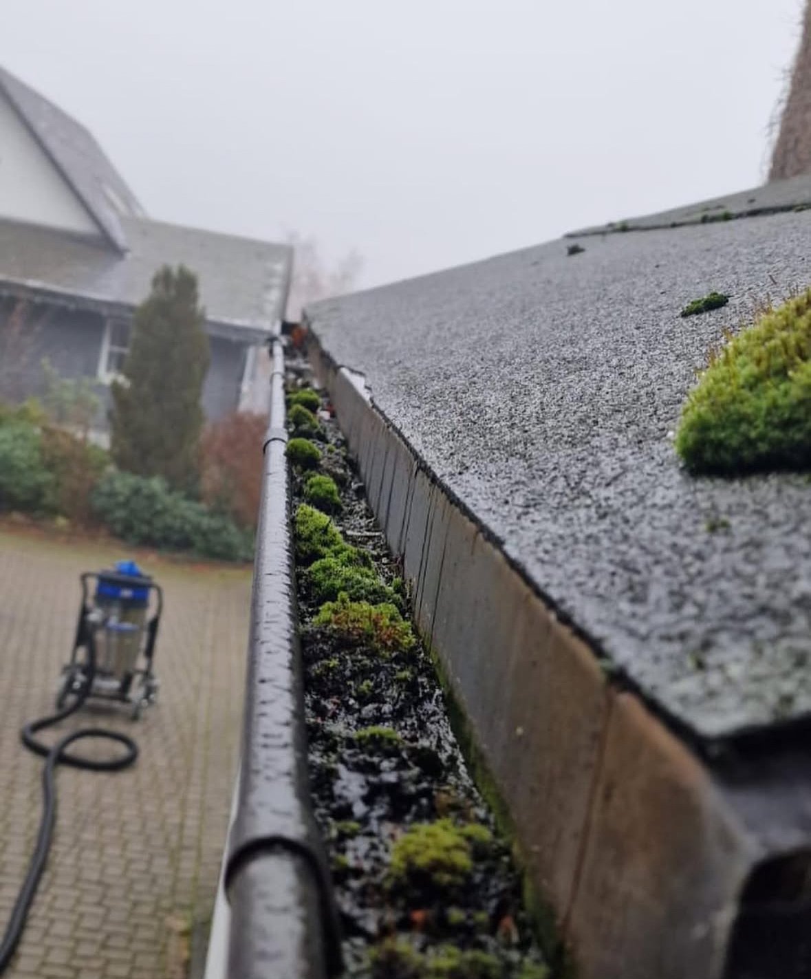 Dachrinne Detail vorher