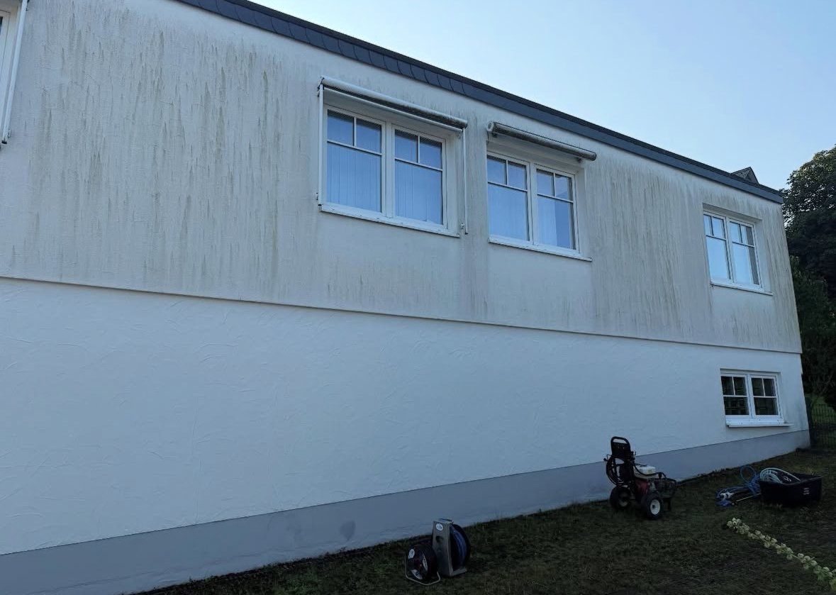 Fassadenreinigung vorher