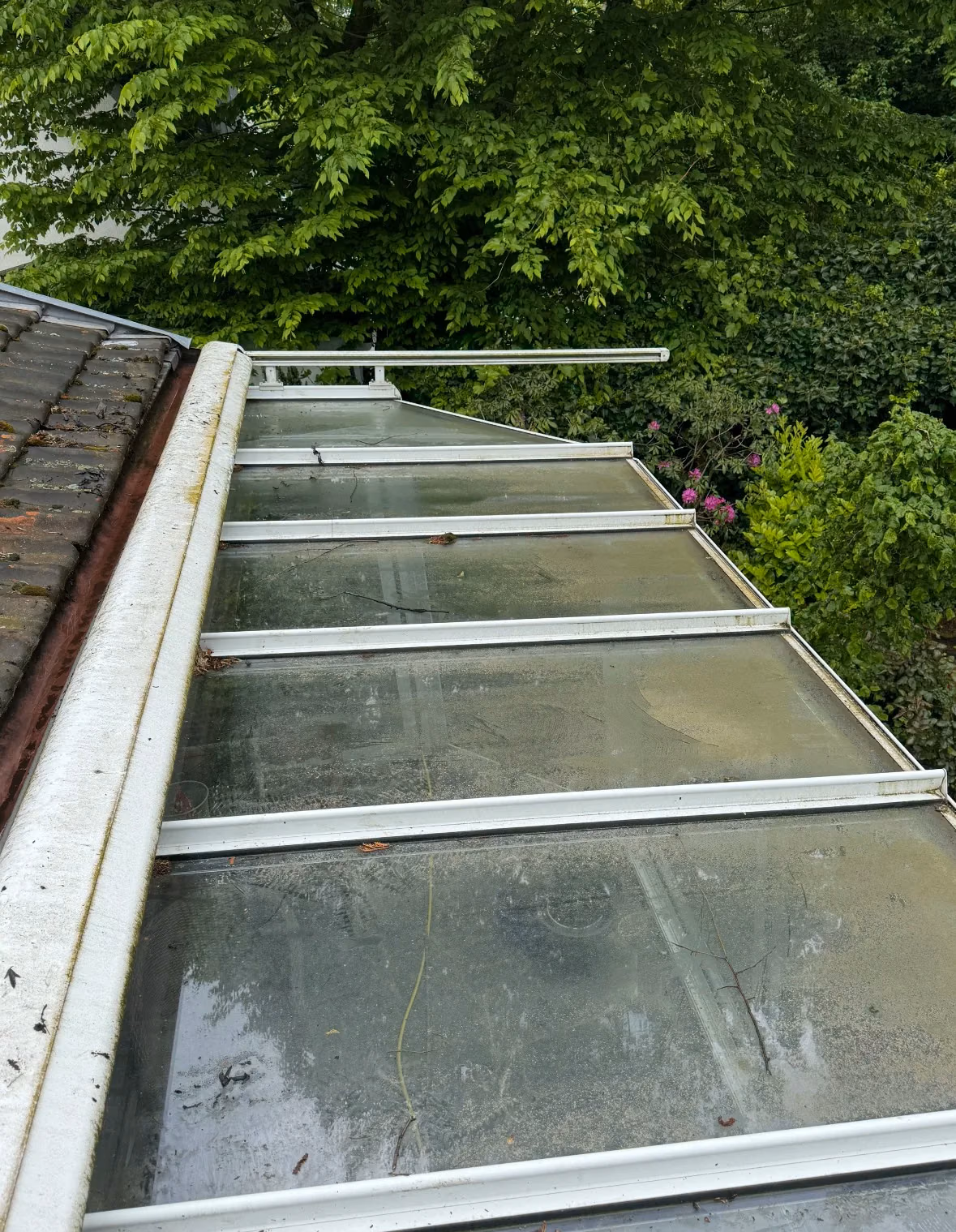 Glasdach zum Garten vor der Reinigung